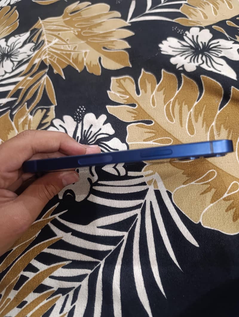 Apple iPhone 12 mini 1