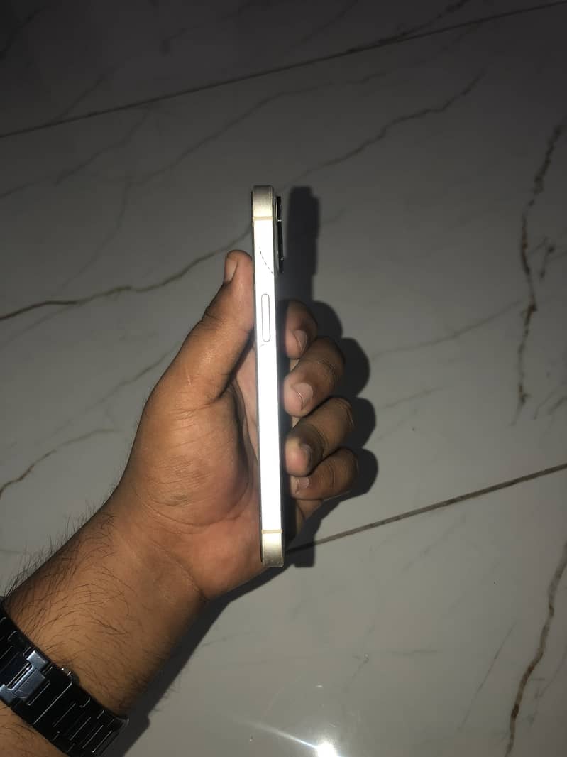 Apple iPhone 13 0