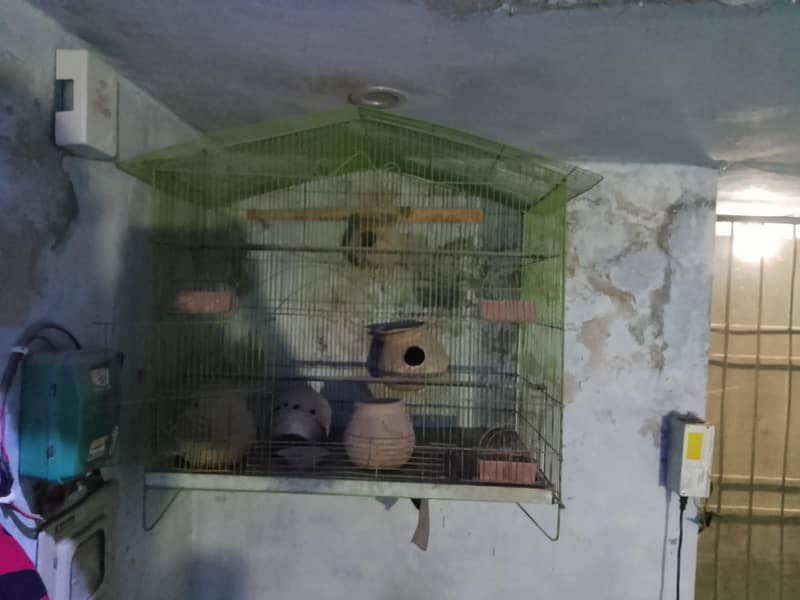 cage. 1