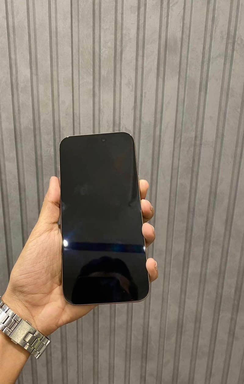 Apple iPhone 16 Pro Max 1