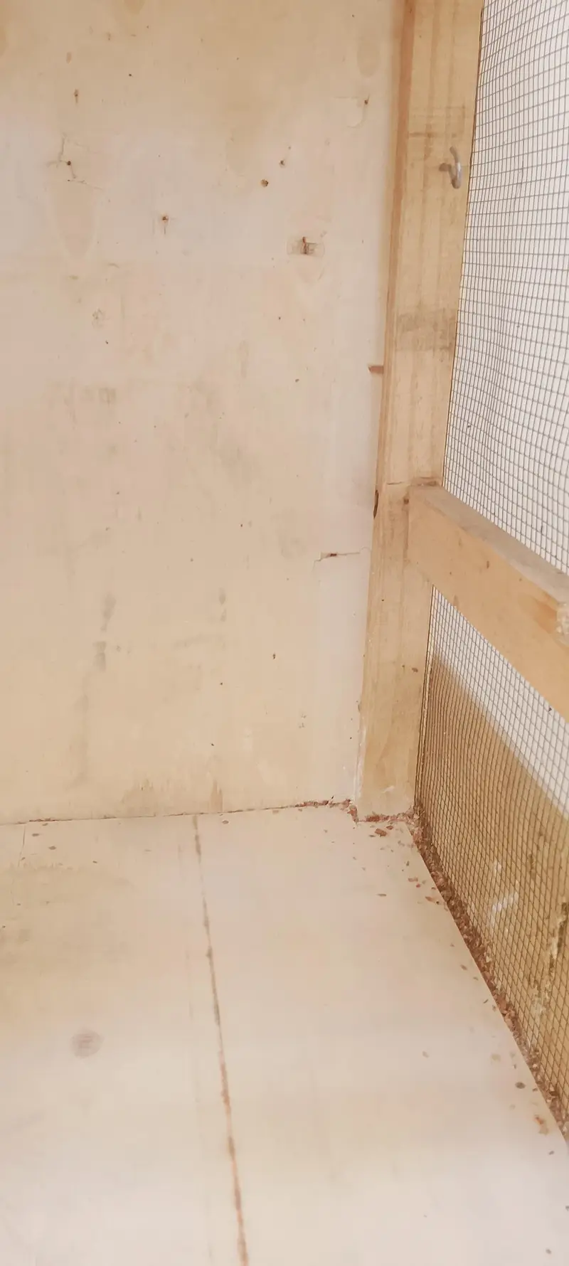 Birds Big Cage — photo 9