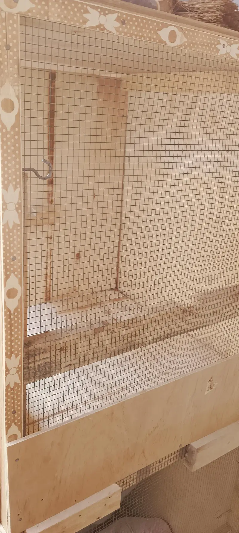 Birds Big Cage — photo 11
