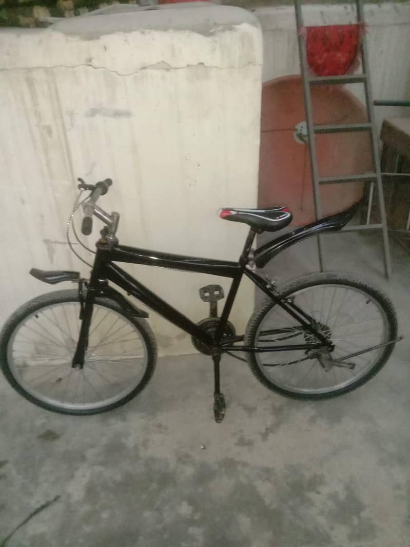 bicycle 2