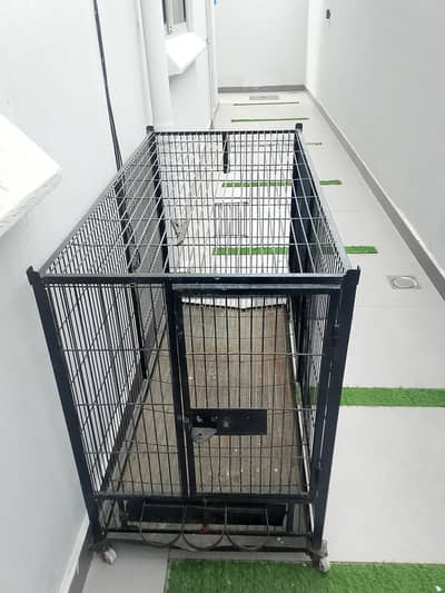 Heavy Iron Cage 4 Feet With Wheels pinjra for Sale