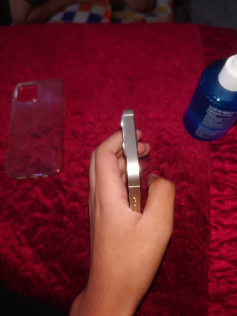 Apple iPhone 13 12