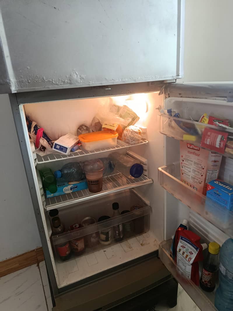 PEL Fridge 1