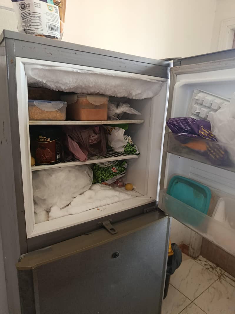 PEL Fridge 2