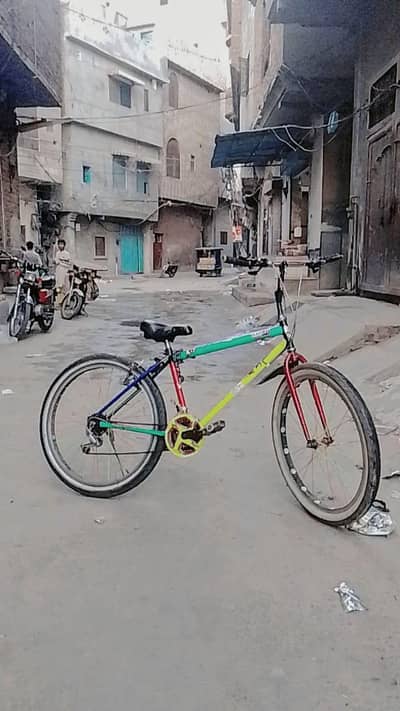 big Wheeler cycle