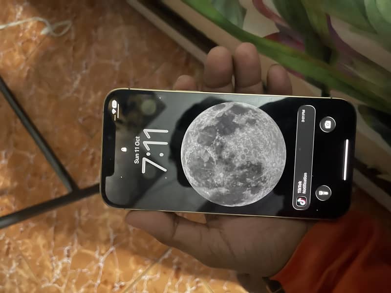 Apple iPhone 12 Pro Max 1
