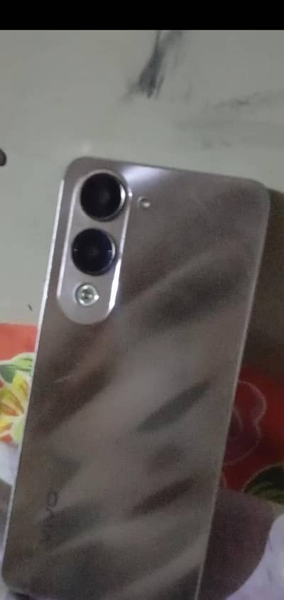 vivo 04