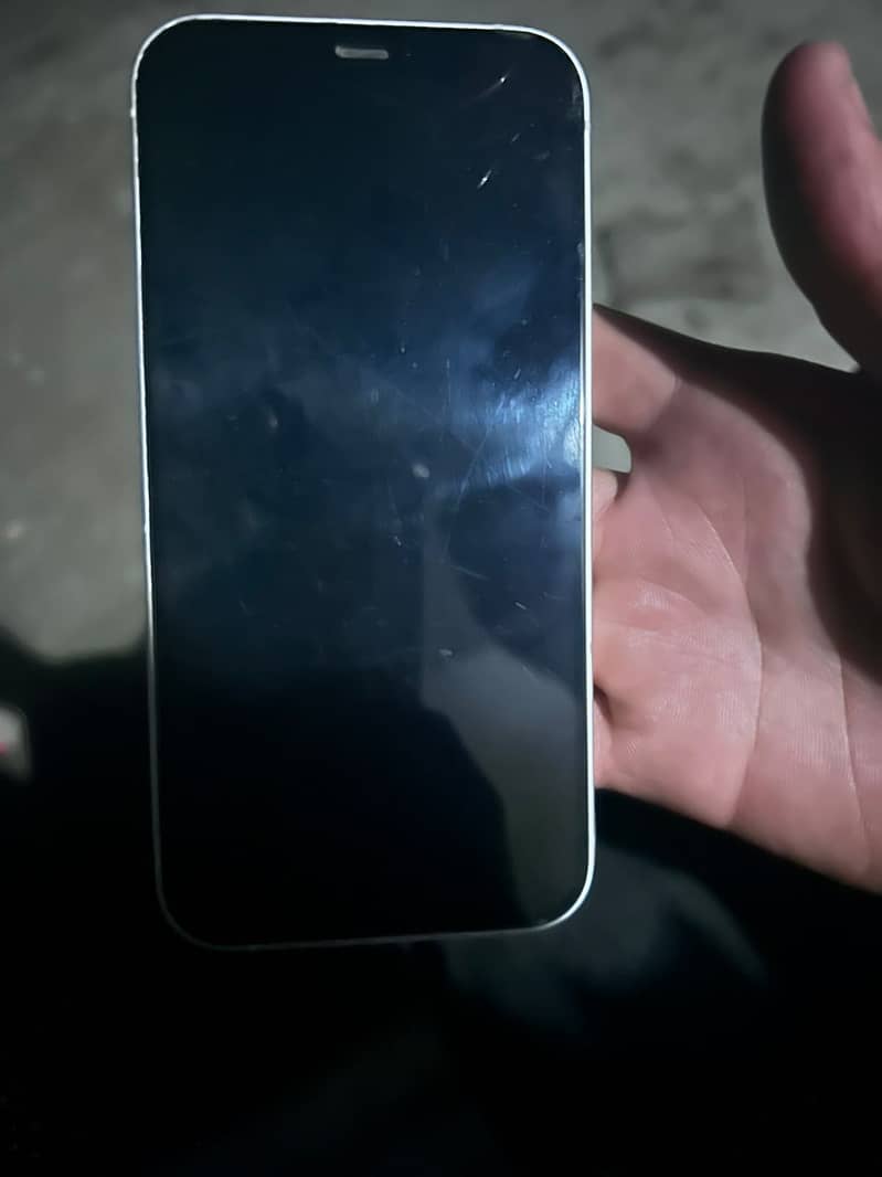 Apple iPhone 12 1