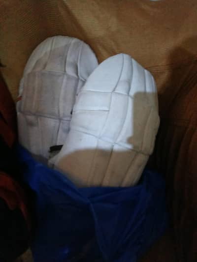 CA bag and pads and thighs