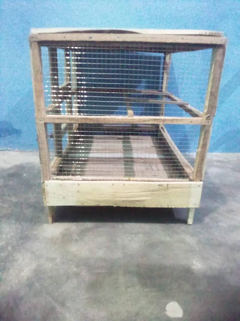 hen's cage 2