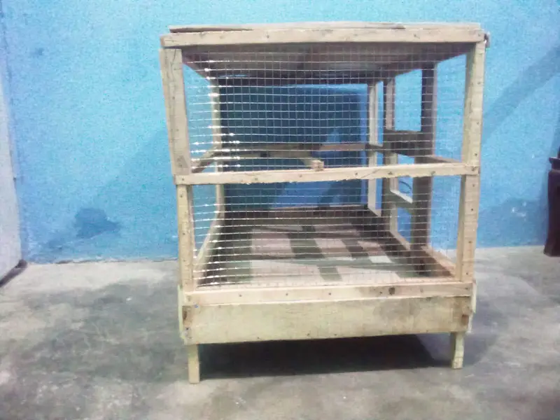 hen's cage — photo 5