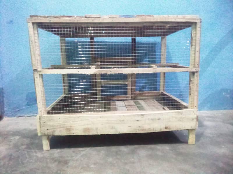 hen's cage 5