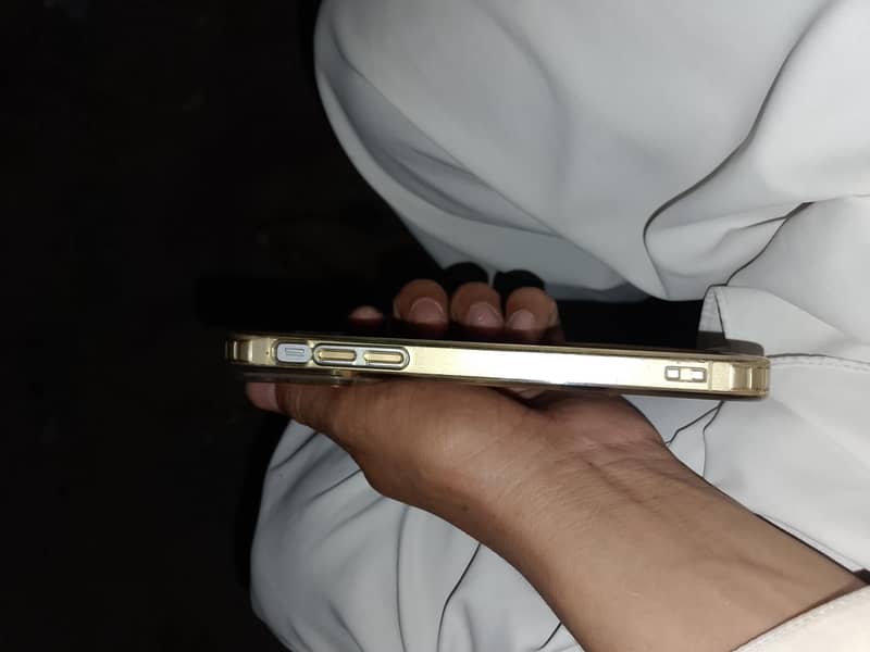 Apple iPhone XR 1