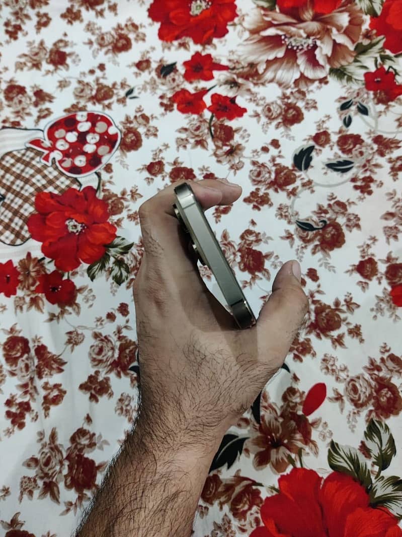 Apple iPhone 14 Pro Max 2