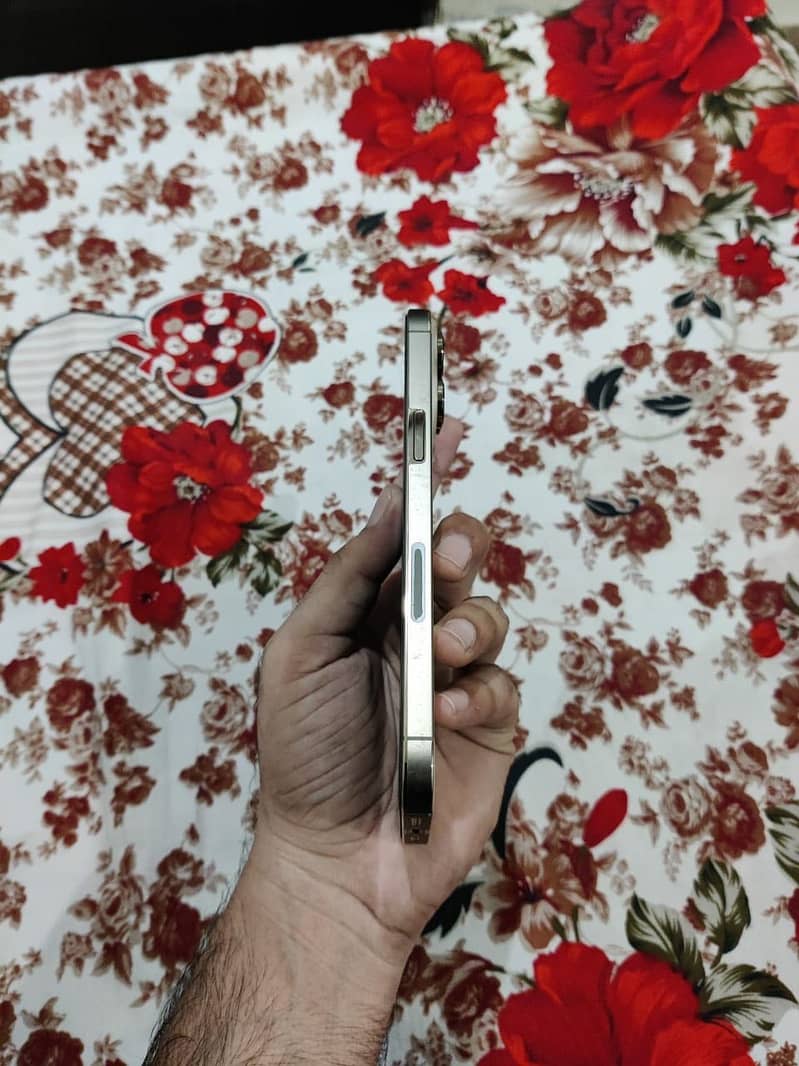 Apple iPhone 14 Pro Max 3