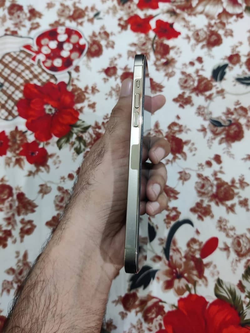 Apple iPhone 14 Pro Max 4