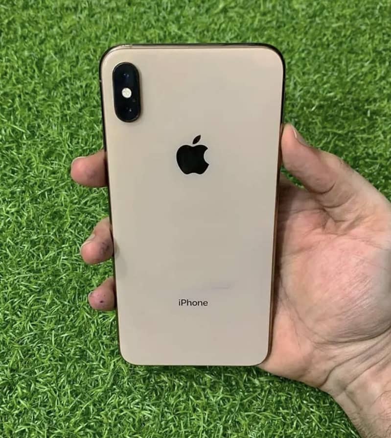Apple iPhone XS 0