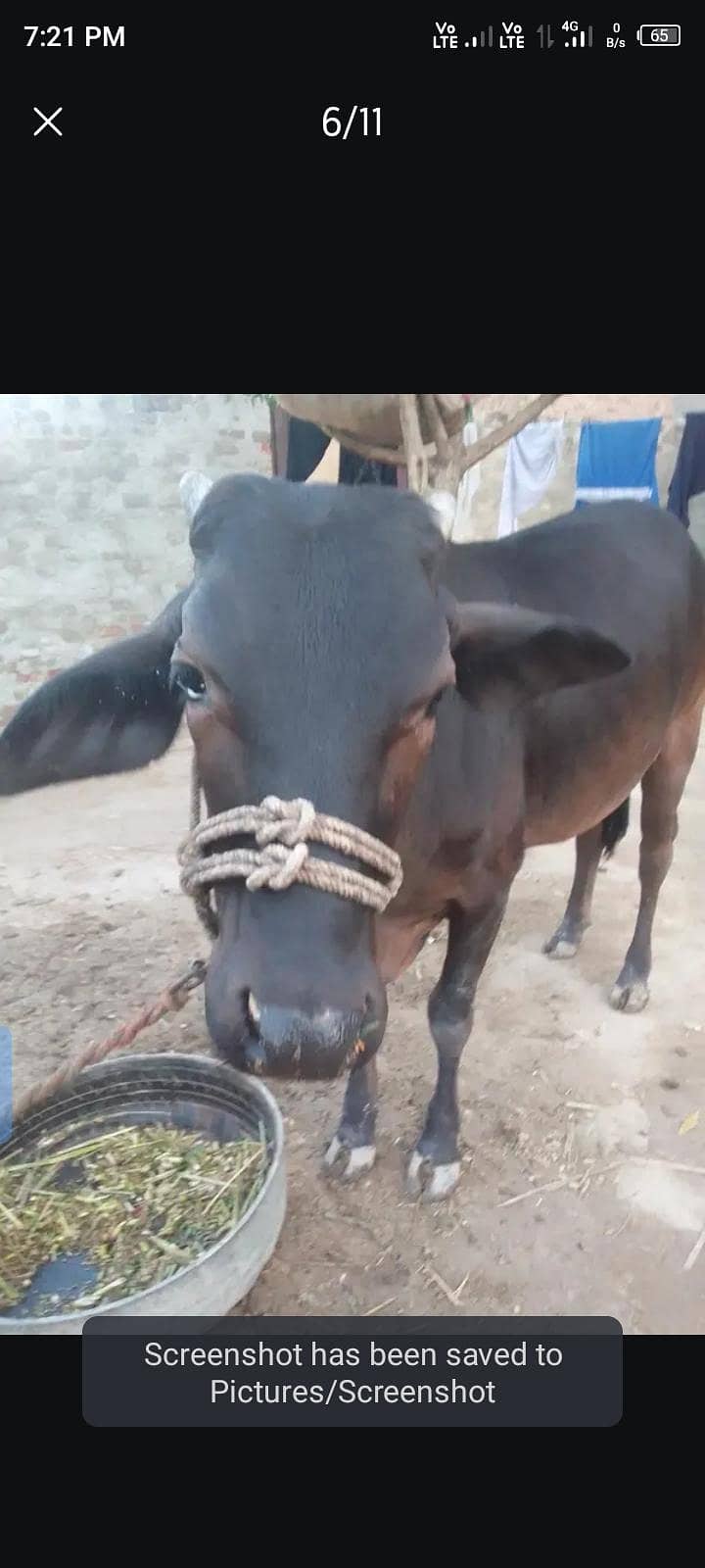 باۓ گبن ہے 0