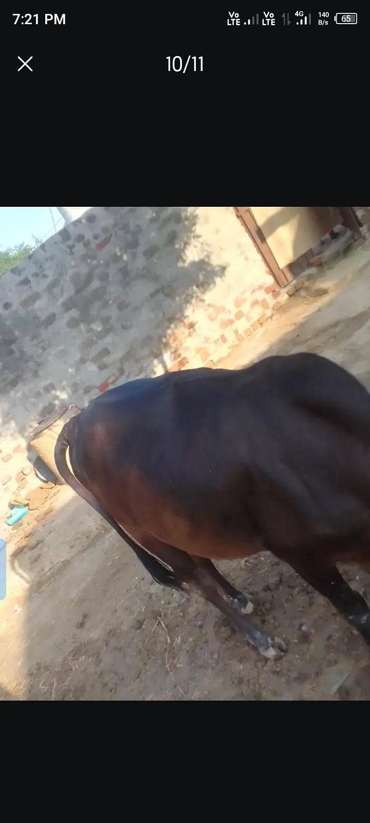 باۓ گبن ہے 2