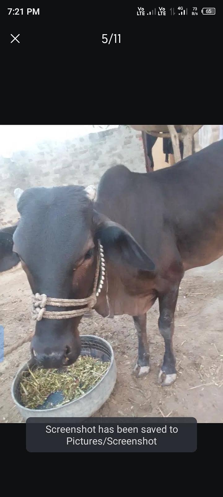 باۓ گبن ہے 3