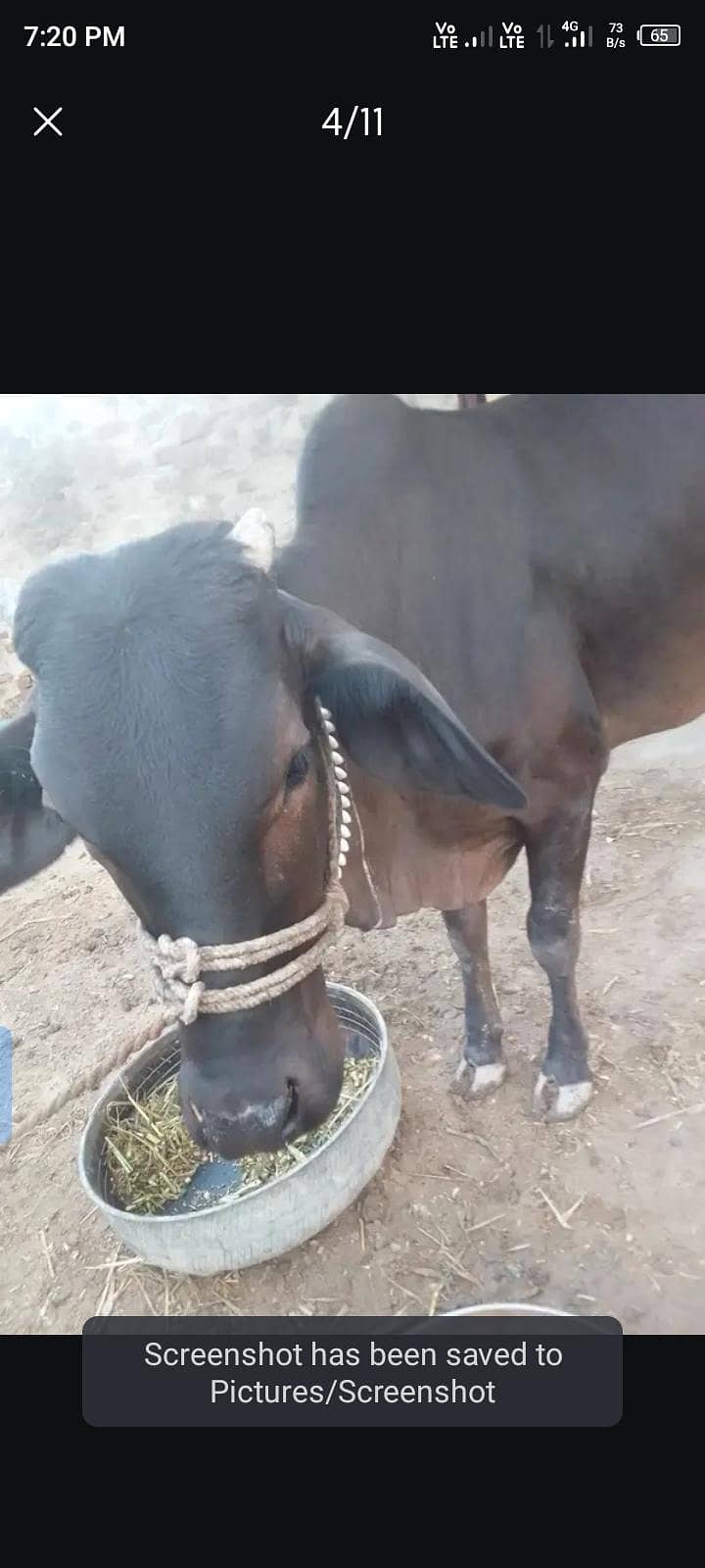 باۓ گبن ہے 5