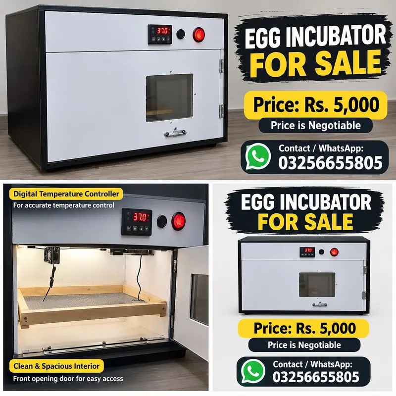 Egg Incubator available for sale. — photo 2