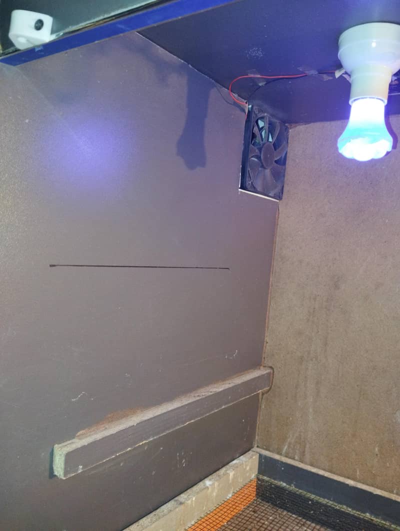 Automatic Used Brooder for Parrot Chicks 10
