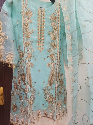 light blue organza shalwar kammez