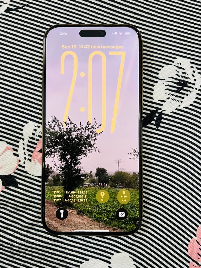 Apple iPhone 16 Pro Max 1