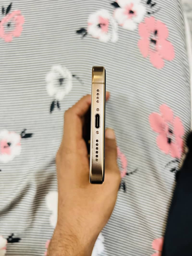 Apple iPhone 16 Pro Max 2