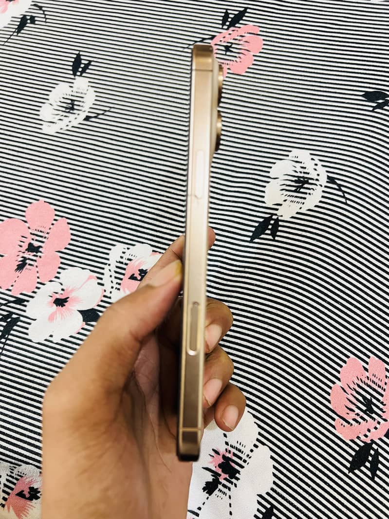 Apple iPhone 16 Pro Max 3