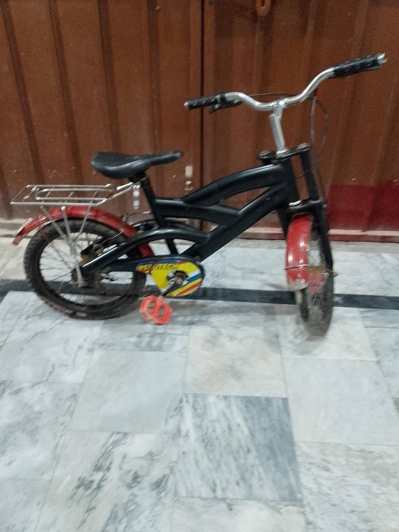 Imported bicycle 1