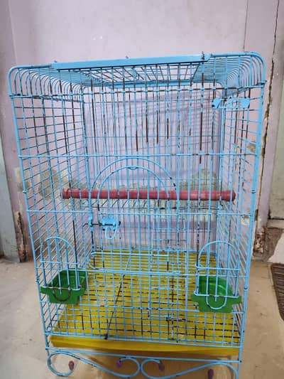 Cage parrot