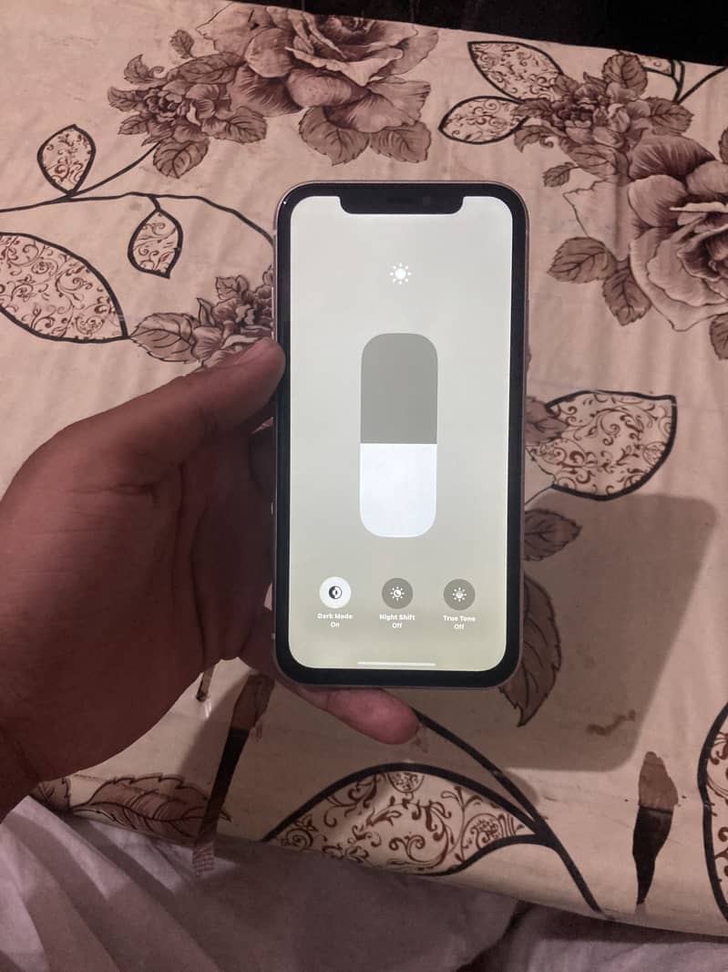 Apple iPhone 11 2