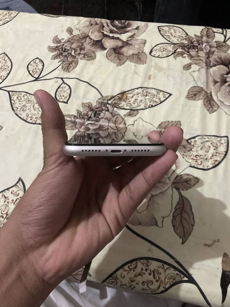 Apple iPhone 11 3