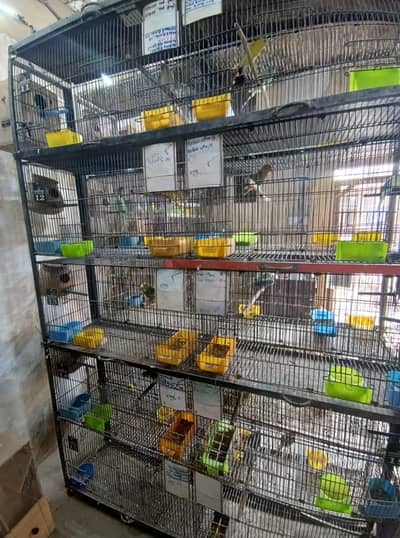 Master 10 portion folding cage with angles