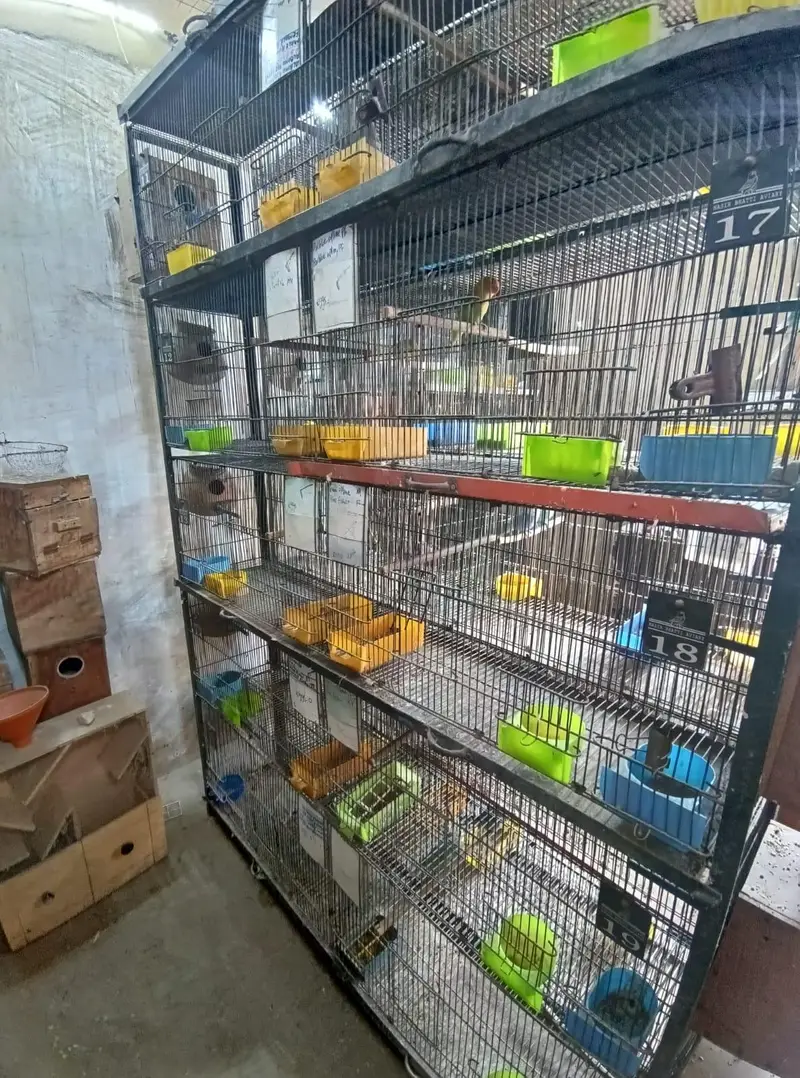 Master 10 portion folding cage with angles — photo 2