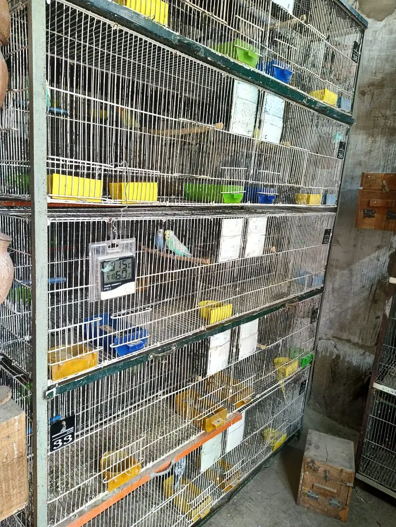Master 10 portion folding cage with angles — photo 3