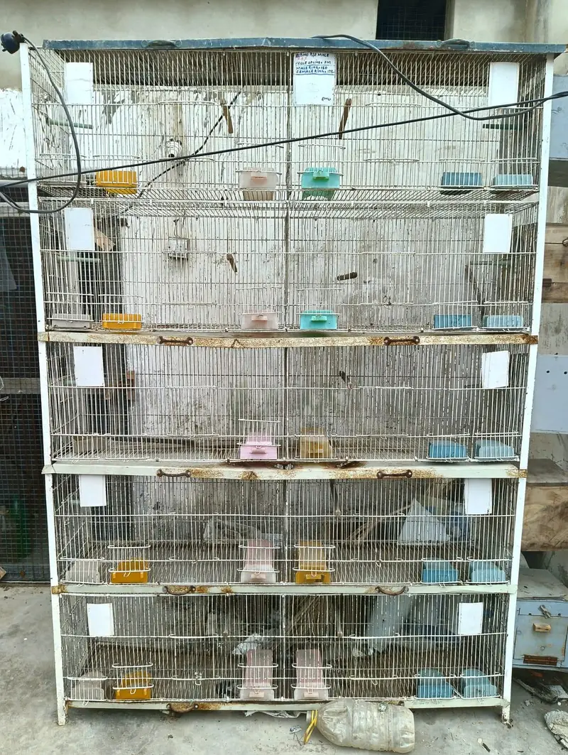 Master 10 portion folding cage with angles — photo 4