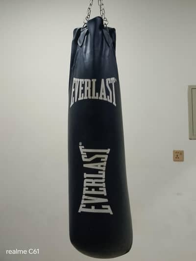 Everlast Punching bag with Gloves + chain