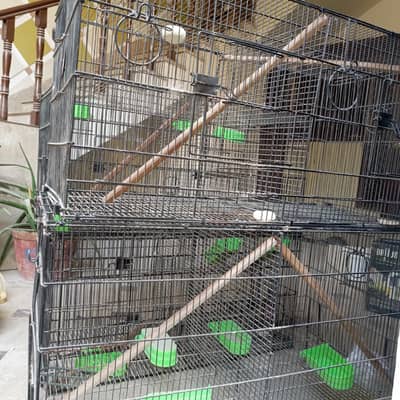 cages and box's for sell