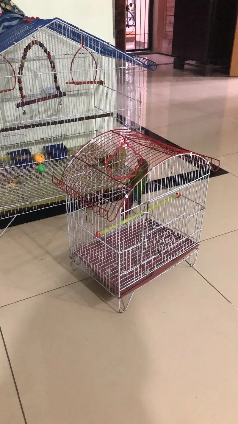 Two cages one small one large