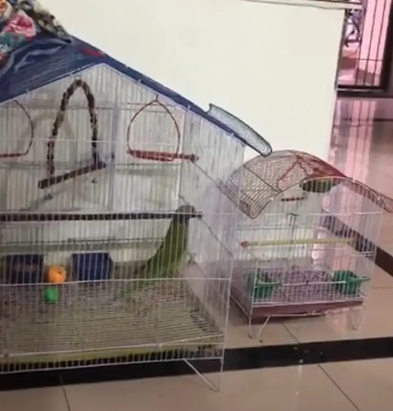 Two cages one small one large — photo 2