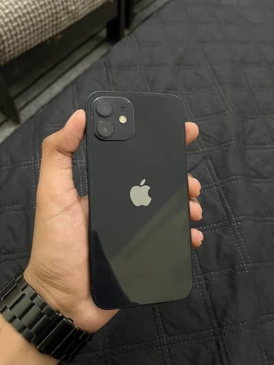 iPhone 12 256GB PTA