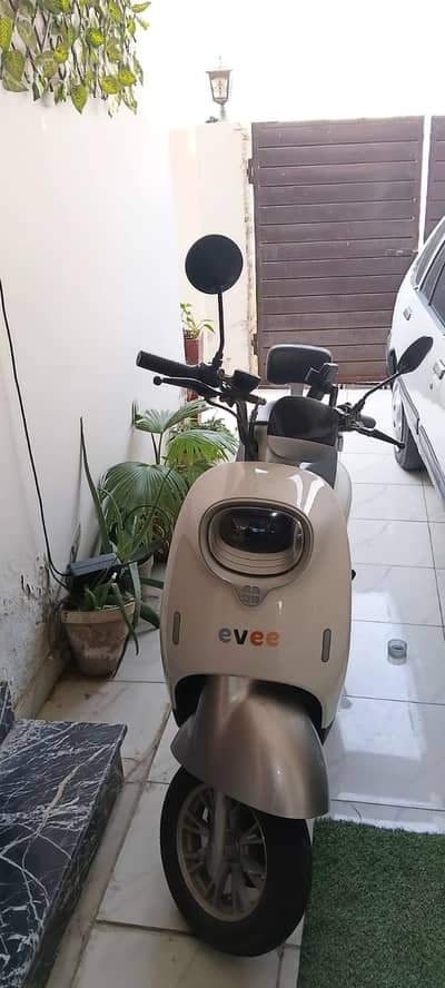 Evee Nisa