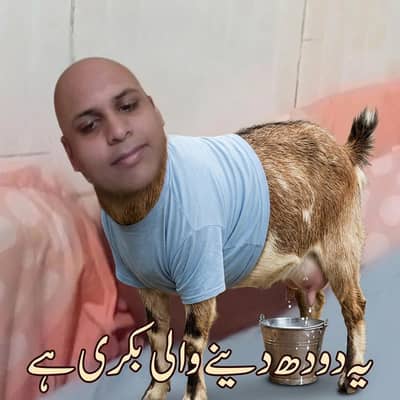 doodh din ka 5litr deti he