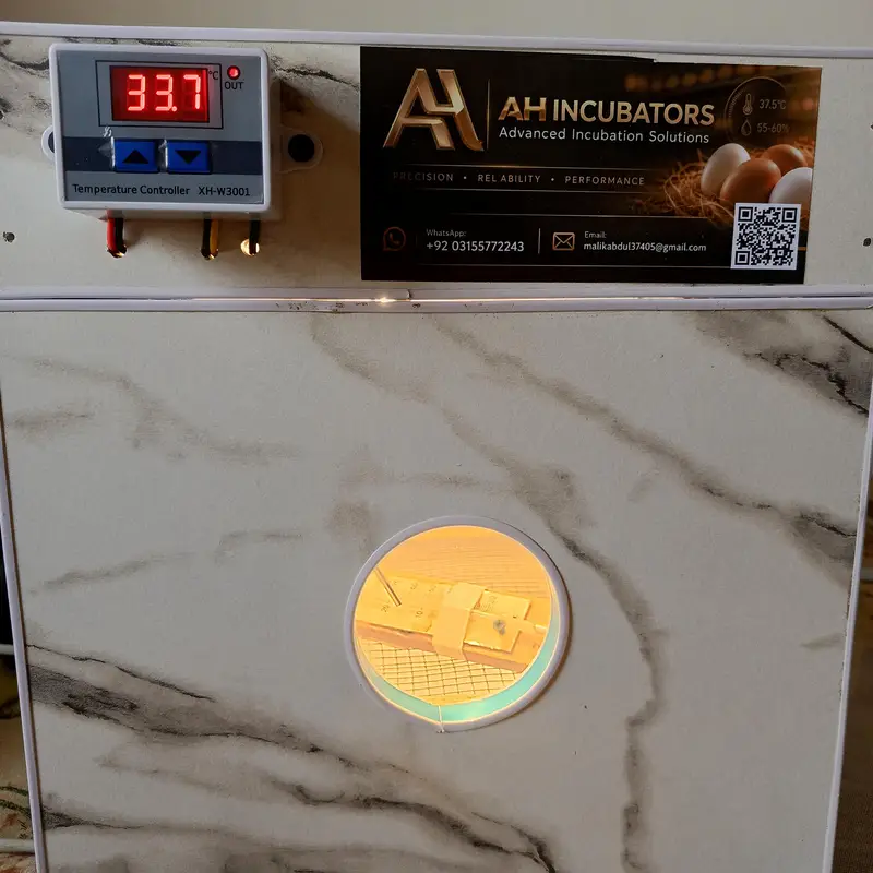 manual & automatic incubator, brooder 30, 60, 80, 120,240,300,500 eggs
